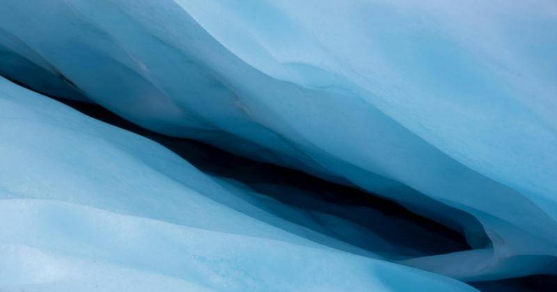 Pexels/JonasRobrecht